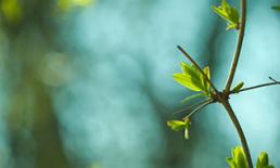 Sustainability