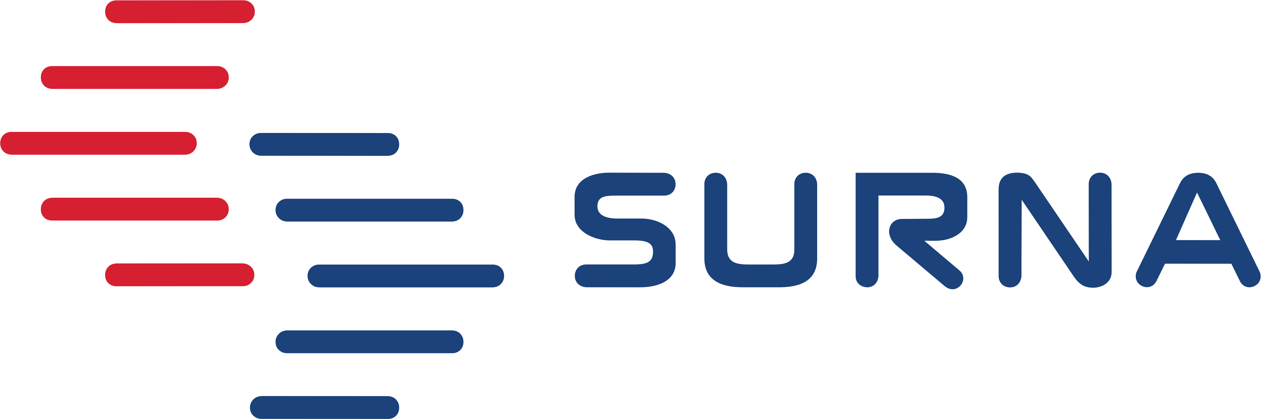 Surna